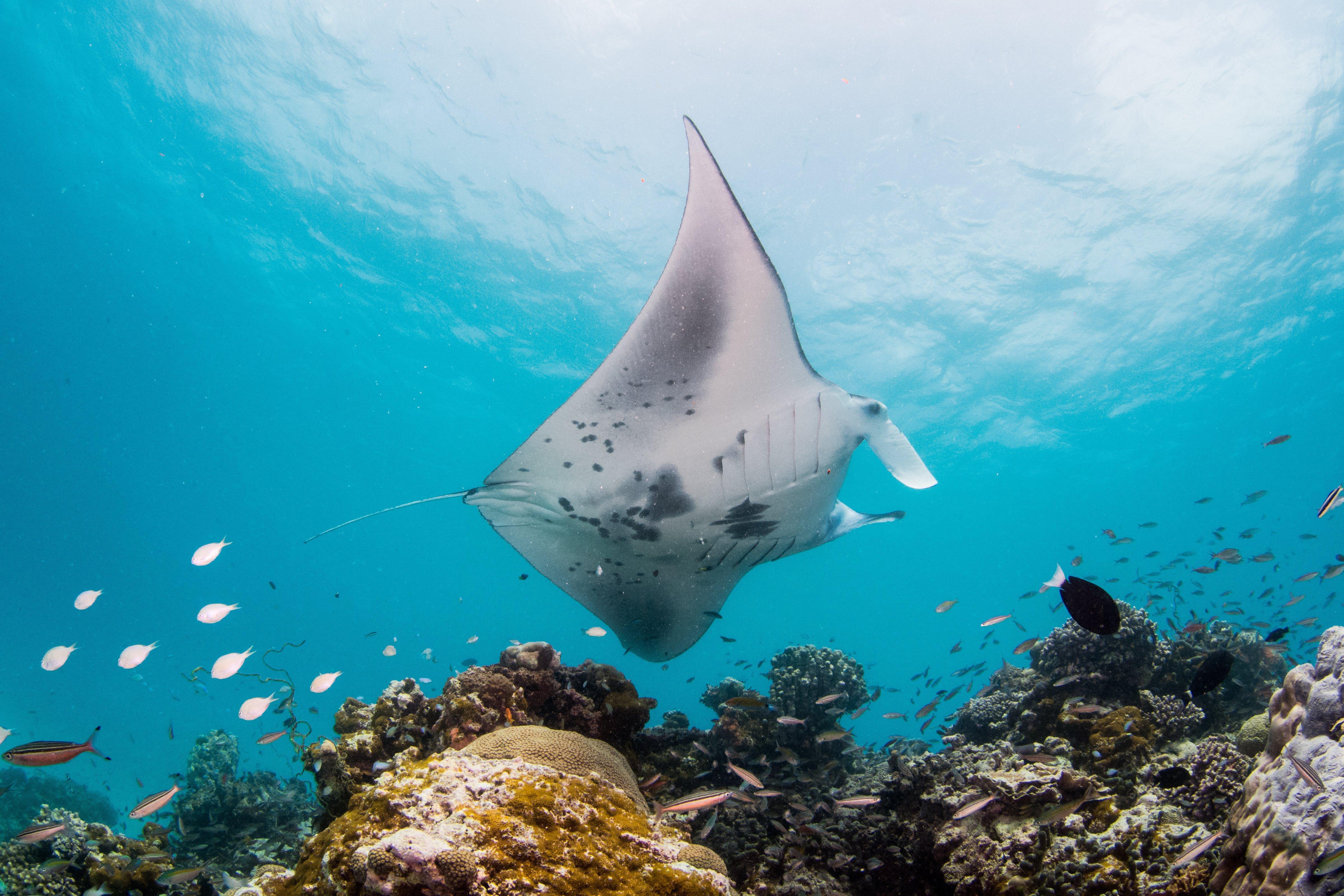 Intercontinental Maldives Maamunagau Resort With Club Benefits By Ihg Meedhoo  Buitenkant foto